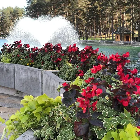 Danijela & * Zlatibor