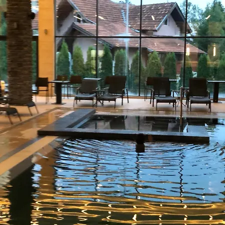 Danijela & * Zlatibor