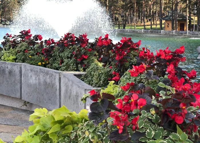 Danijela & * Zlatibor