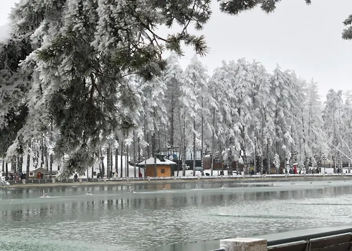 Danijela & Διαμέρισμα Ζλάτιμπορ